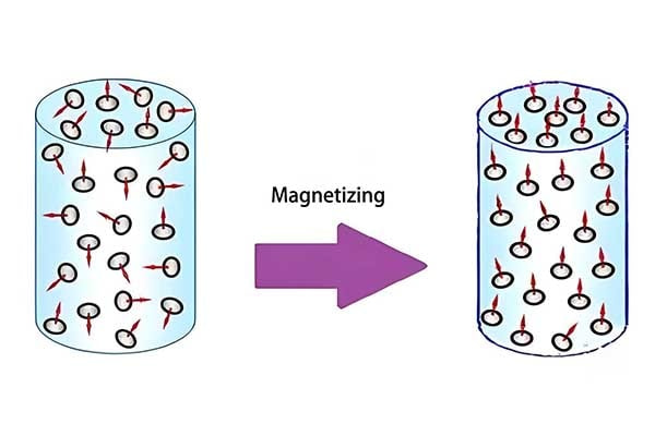 magnetism.webp